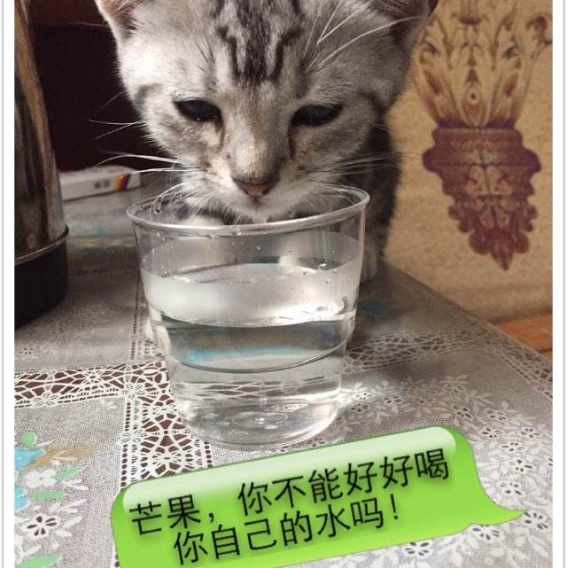 办签证冻结存款证明